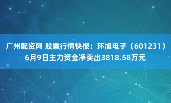 广州配资网 股票行情快报：环旭电子（601231）6月9日主力资金净卖出3818.58万元