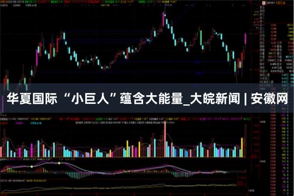 华夏国际 “小巨人”蕴含大能量_大皖新闻 | 安徽网