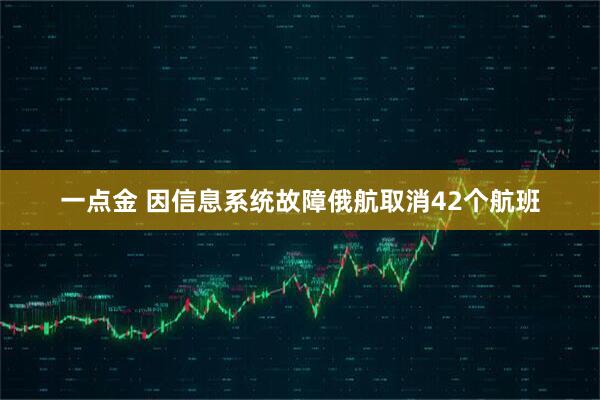 一点金 因信息系统故障俄航取消42个航班