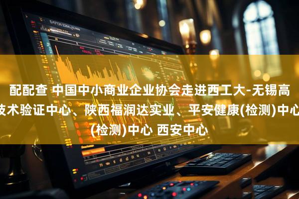 配配查 中国中小商业企业协会走进西工大-无锡高新区联合技术验证中心、陕西福润达实业、平安健康(检测)中心 西安中心