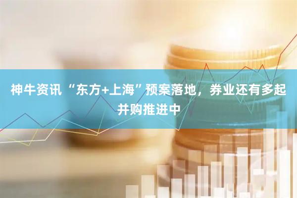 神牛资讯 “东方+上海”预案落地，券业还有多起并购推进中